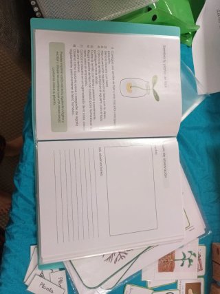 Tarjetas Montessori Plantas