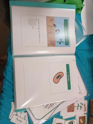 Tarjetas Montessori Plantas