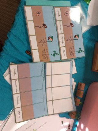 Tarjetas Montessori Plantas
