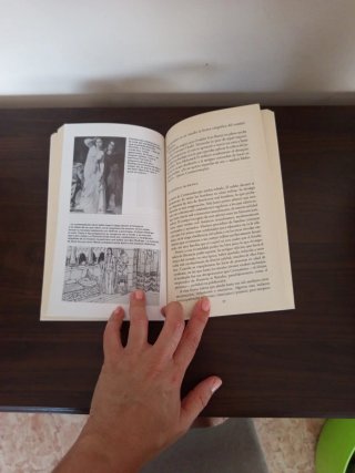 Los templarios y los enigmas medievales