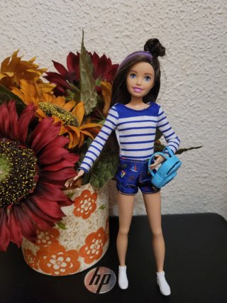 Muñeca Barbie skipper con bolso y ropa