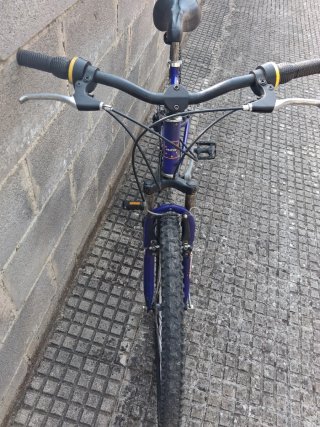 Bicicleta de Montaña Runner Azul