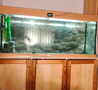Acuario Juwel 240L Madera Clara