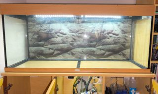 Acuario Juwel 240L color Madera Clara + mueble