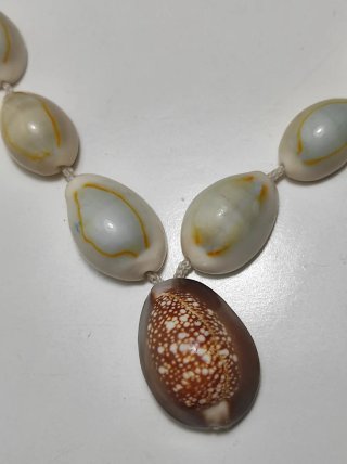 Collar con Abalorios Concha