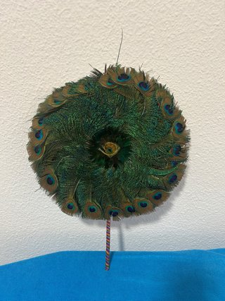 Abanico de plumas de pavo real
