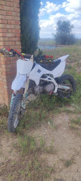 Pit Bike IRIT 125cc Motocross Blanca