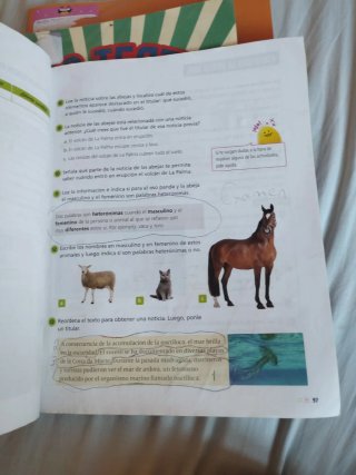 Lengua castellana y literatura 3 Saberes básico...