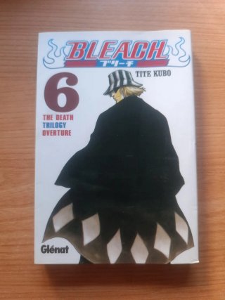 Bleach 6