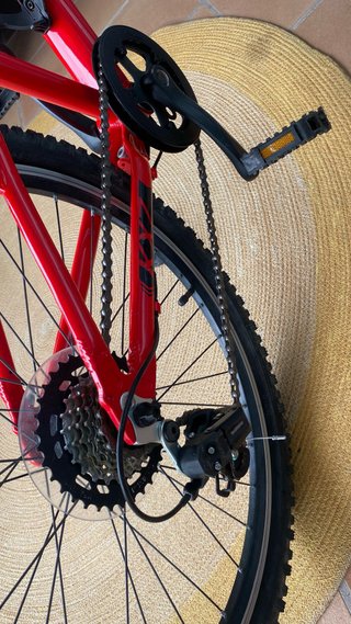 Bicicleta infantil Monty Junior