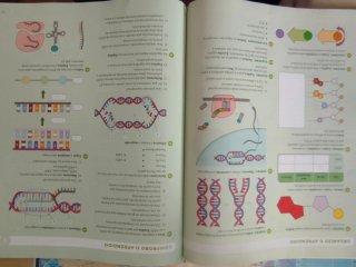 Libro Bioloxía e Xeoloxía, 4 ESO, Obra. Santillana