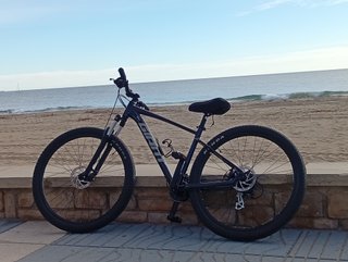 Bicicleta Giant 29