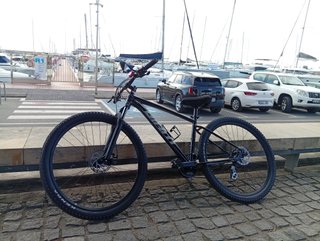 Bicicleta Giant 29
