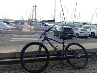 Bicicleta Giant 29