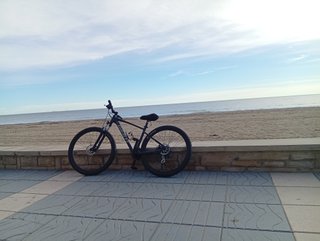 Bicicleta Giant 29