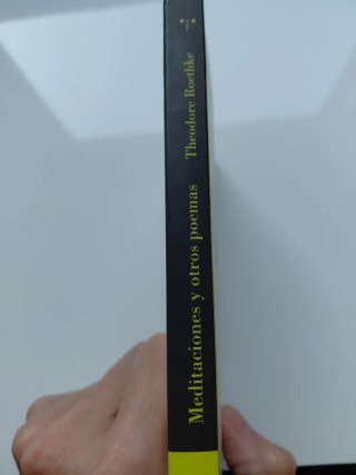 Meditaciones y otros poemas