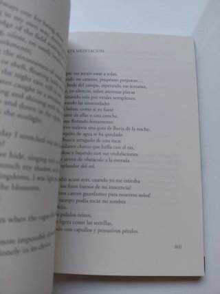 Meditaciones y otros poemas