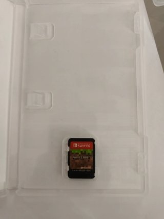 Minecraft Nintendo Switch