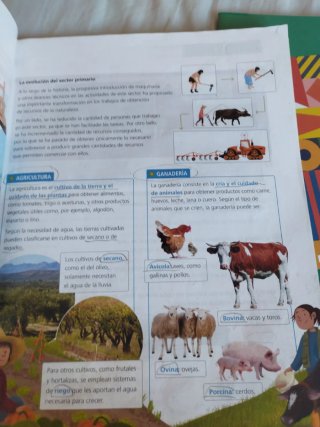 Ciencias Sociales 3 primaria fanfest
