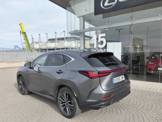 LEXUS NX 450H+ LUXURY 4WD 306CV  LIBRO REVISIONES