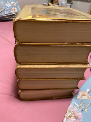Lote de libros de escritores célebres, ver fotos