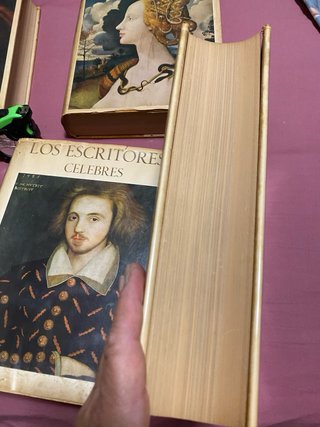 Lote de libros de escritores célebres, ver fotos