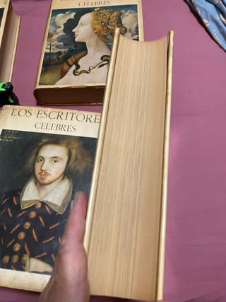 Lote de libros de escritores célebres, ver fotos