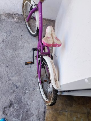 Bicicleta infantil morada