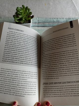 Psicológicamente hablando : un recorrido por la...