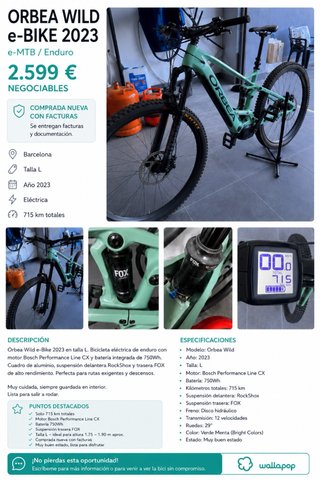 Orbea Wild eBike 2023 Talla L