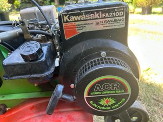Motoazada Agria Kawasaki