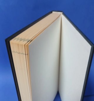 Star Wars Traidor - Matthew Stover