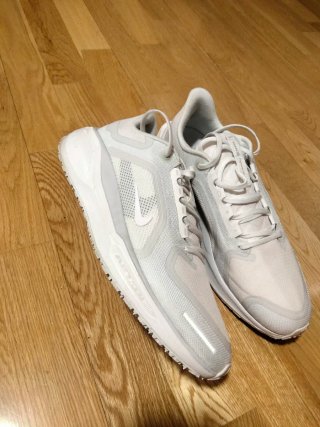 Nike Vomero 18 GORE-TEX Gris