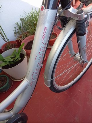 Bicicleta urbana con cesta