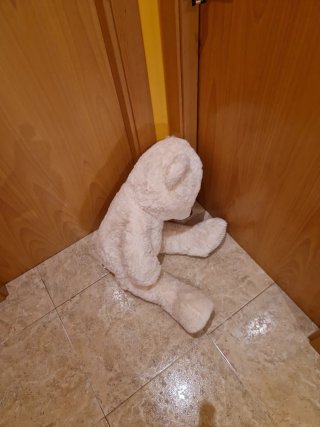 Oso de peluche grande