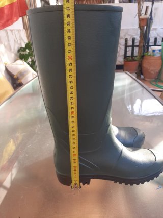 Botas de agua verdes