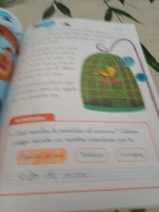 LECTURAS LA NAVE DE LOS LIBROS 1 PRIMARIA LOS C...