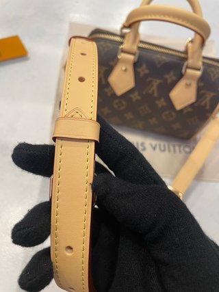 Borsa Speedy Louis Vuitton Marrone