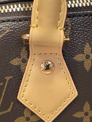 Borsa Speedy Louis Vuitton Marrone