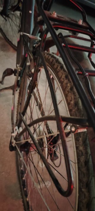 Bicicleta Orbea Mujer