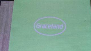 Sandalias Graceland plataforma negras