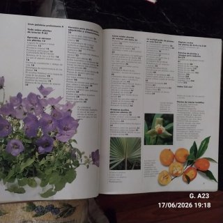 El gran libro de las plantas de interior consej...