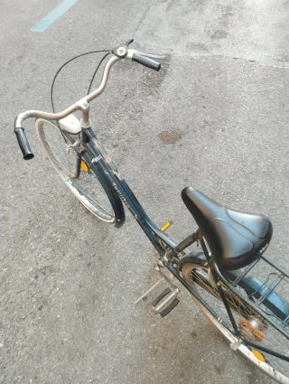 Bicicleta Holandesa Paseo