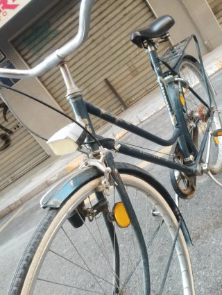 Bicicleta Holandesa Paseo