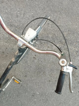 Bicicleta Holandesa Paseo