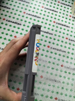 Rodland NES (Nintendo)