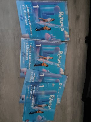 Libro de primero de primaria lengua SM