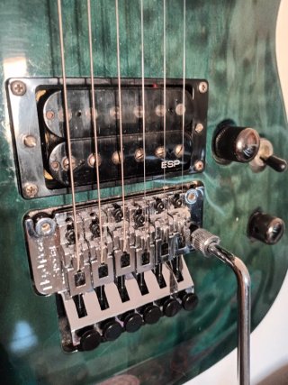 LTD MN 100 QM Guitarra Eléctrica