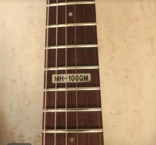 LTD MN 100 QM Guitarra Eléctrica