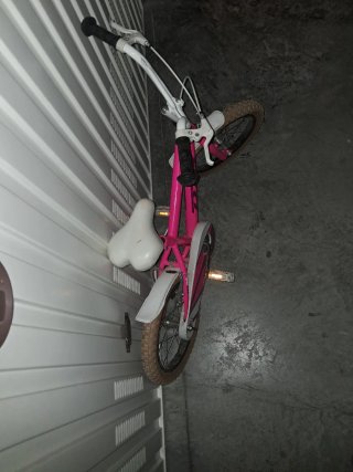 Bicicleta Infantil DTB Fun 160 Rosa 16